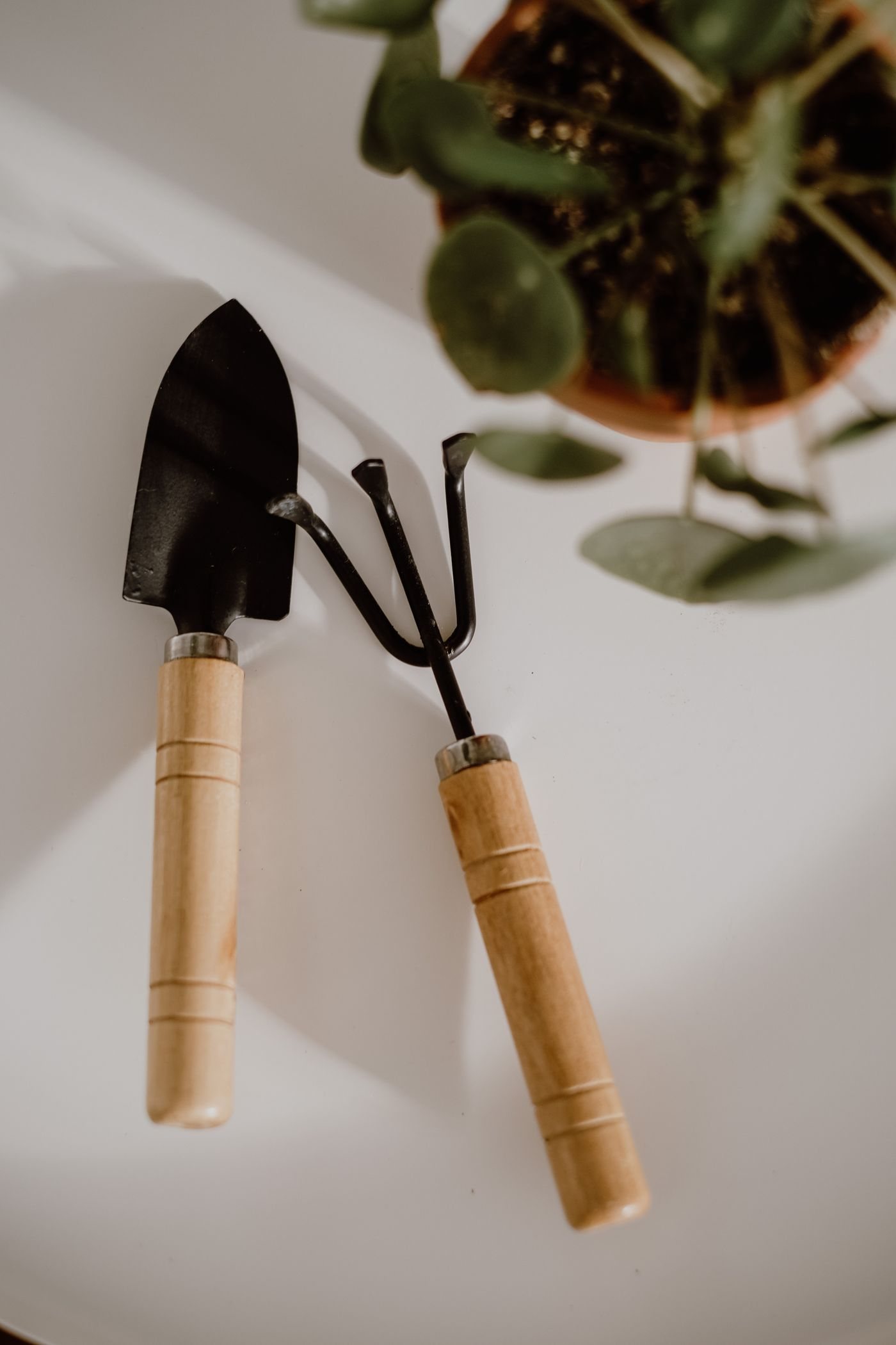 A small gardening trowel and fork beside a potted plant