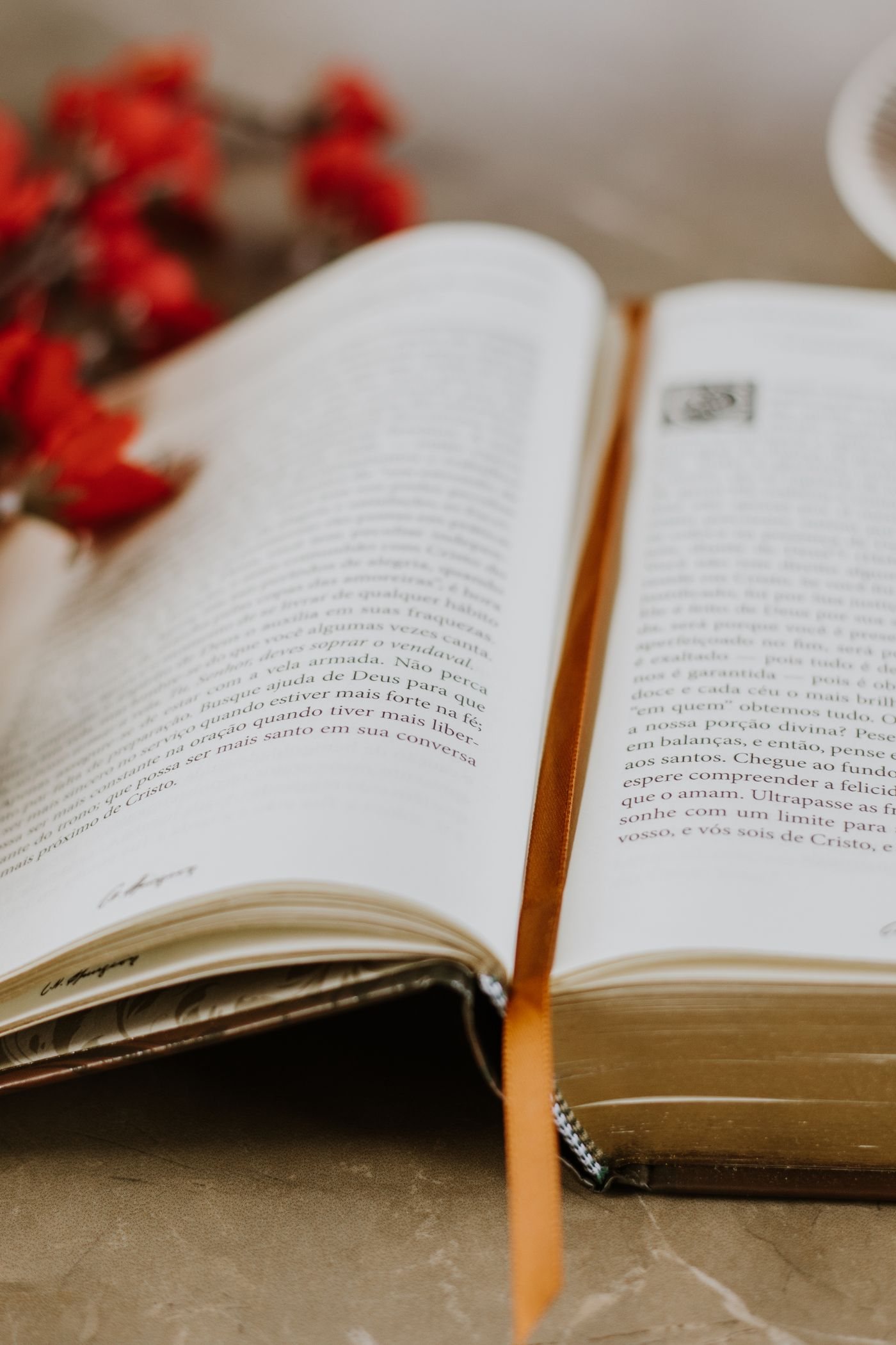 A decorative bookmark resting on an open book